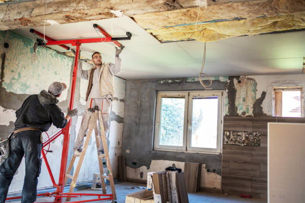 Best Insulation Maintenance and Repair in Hernando, MS